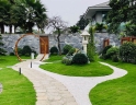 DỊCH VỤ CÂY XANH - Cắt tỉa cây xanh đường Thanh Niên - TP Hải Dương