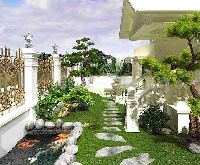 Dịch vụ chăm sóc cây cảnh